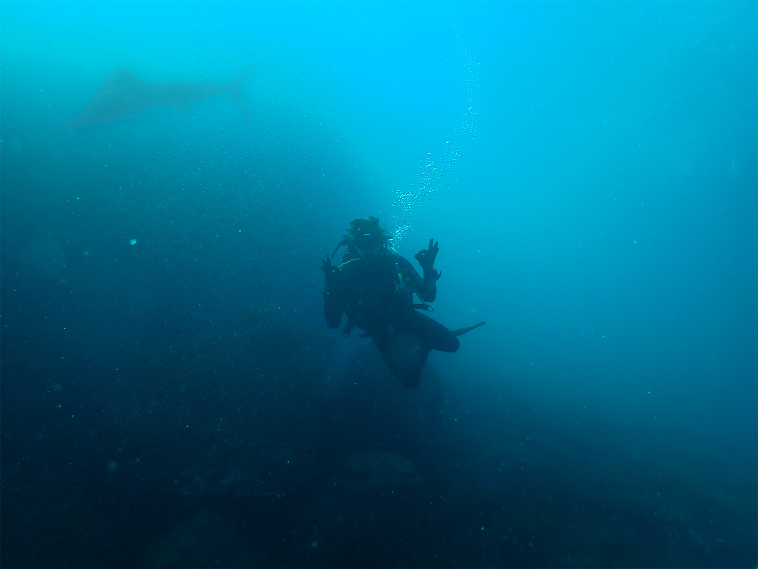 La Mer Mediterranee